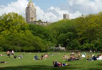 Central Park1