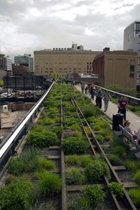 High Line1