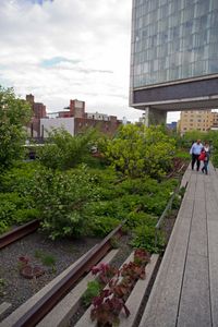 High Line12